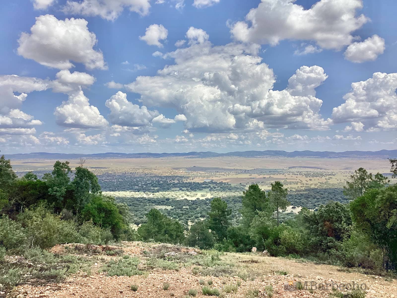 Bañuela Peak Trail