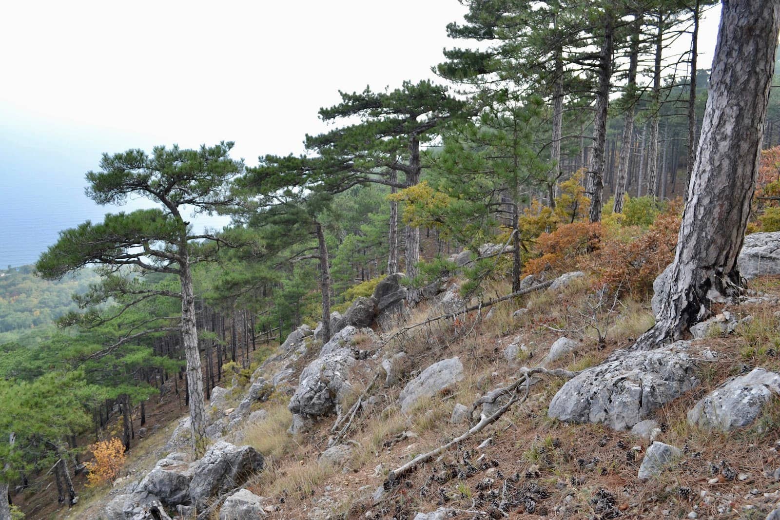 Vertical photo