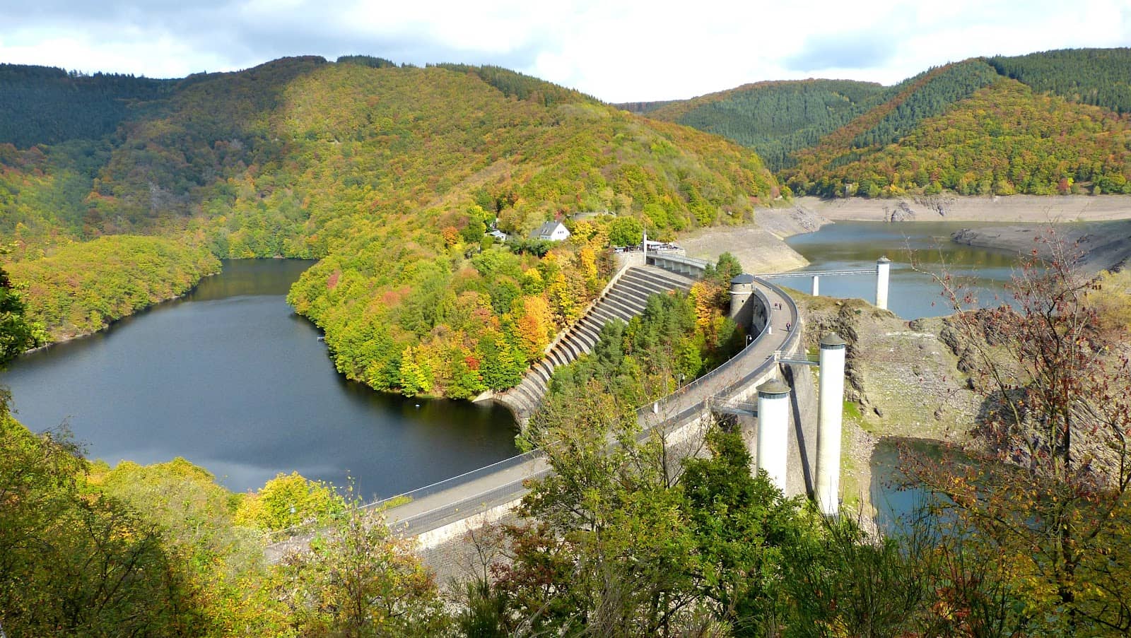 Surrounding Woodlands