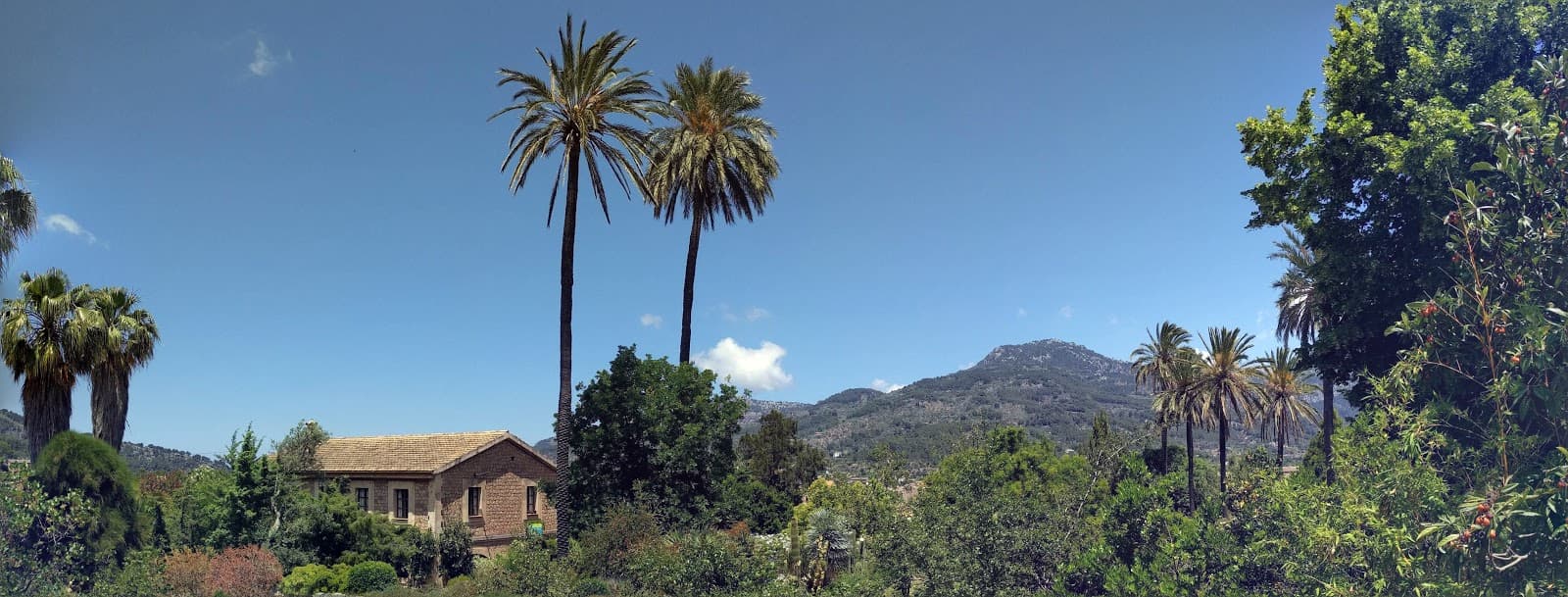 Jardí Botànic Sóller - Image 1