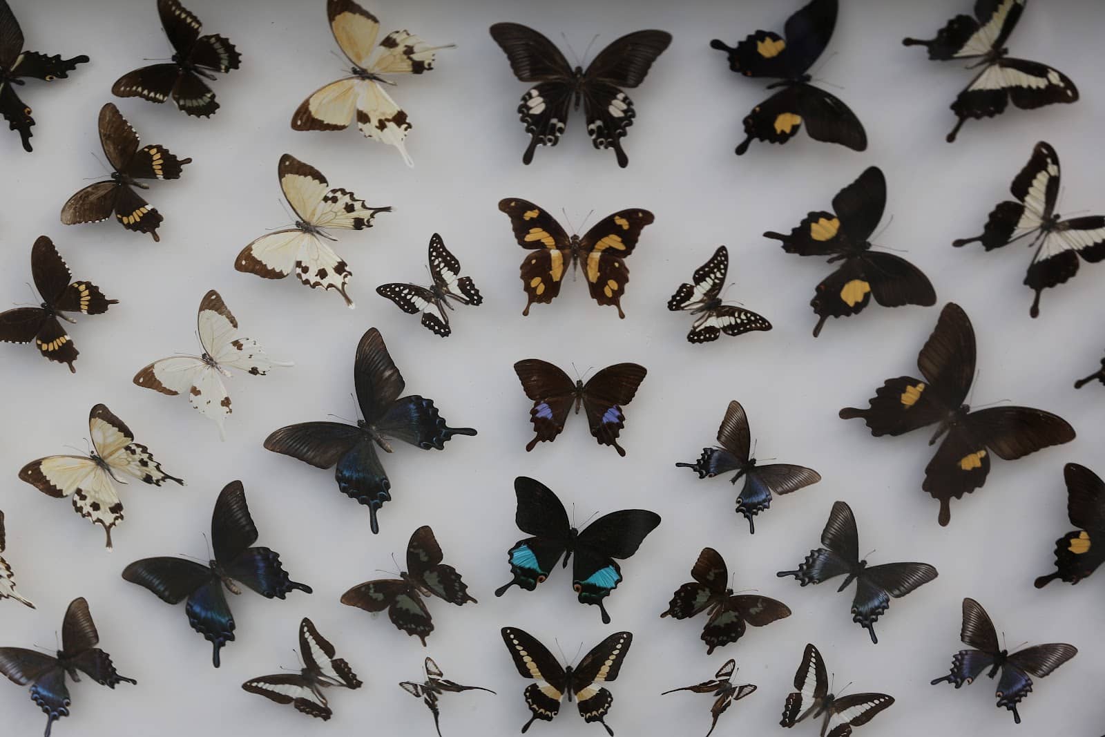 Riverside Camping Ground