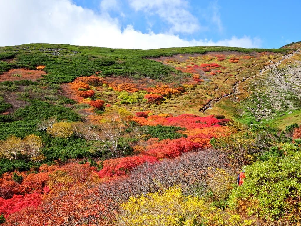 Mt. Akadake (Daisetsuzan) - Image 1