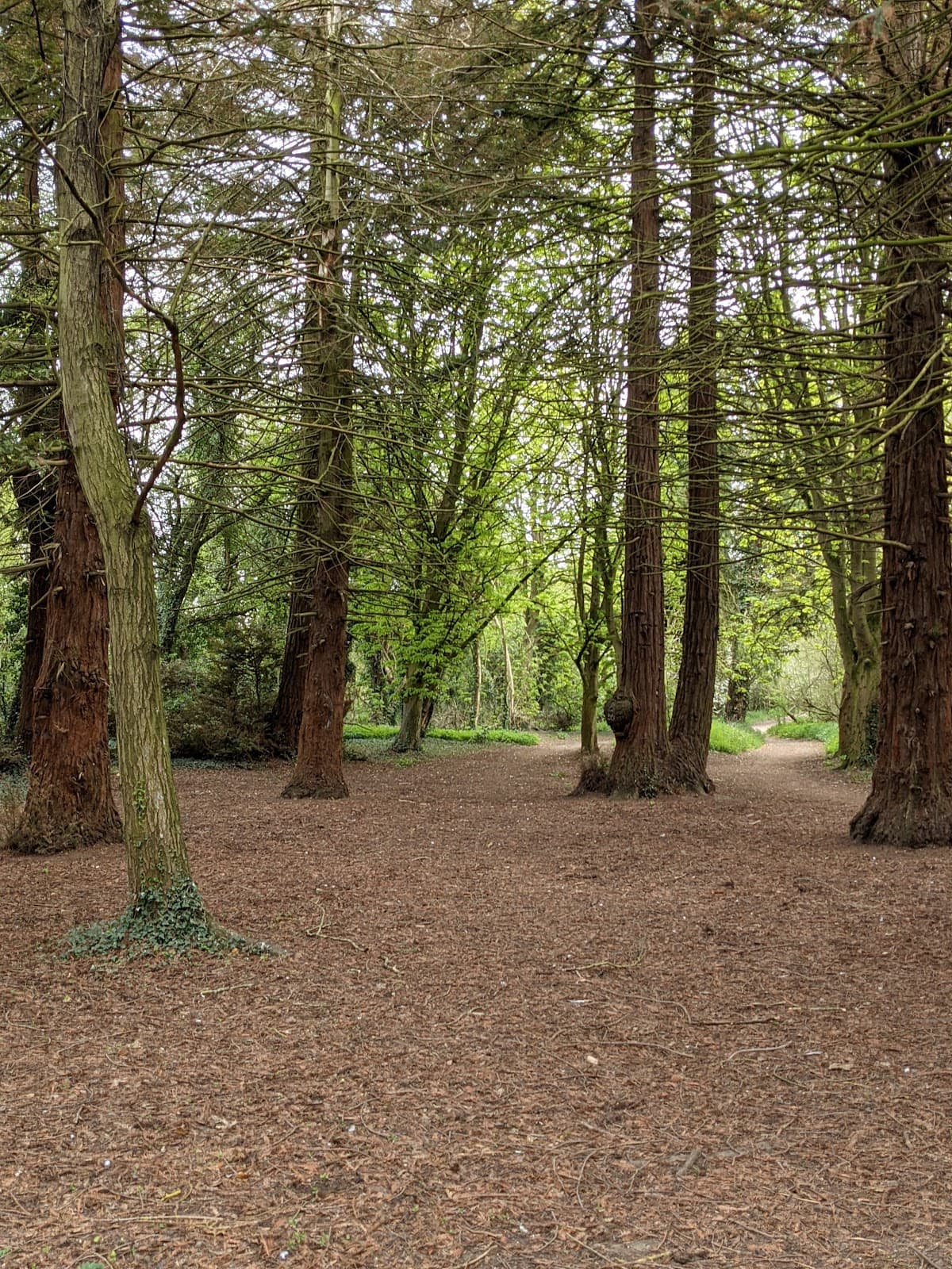 Harlow Mill Lock - Image 1