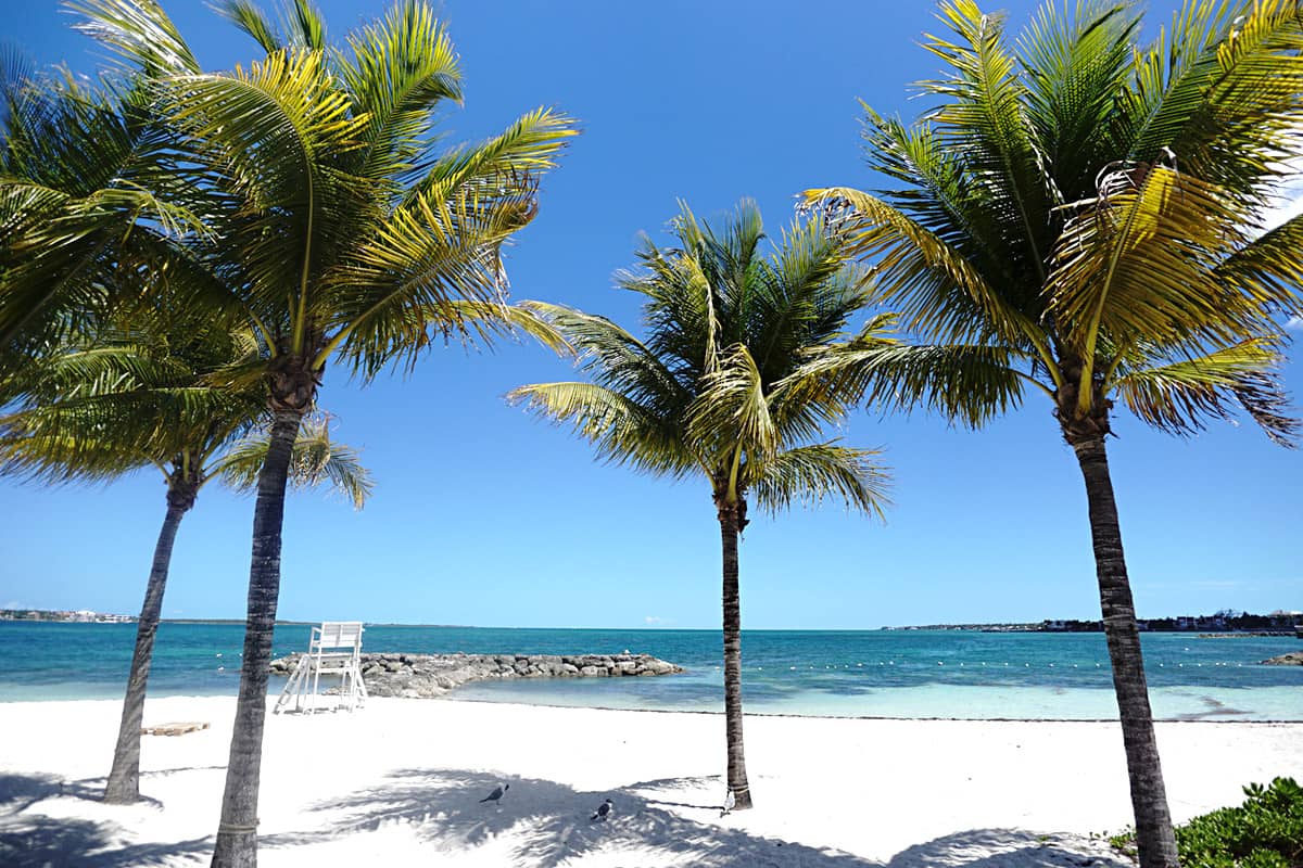 Historic Fort Montagu