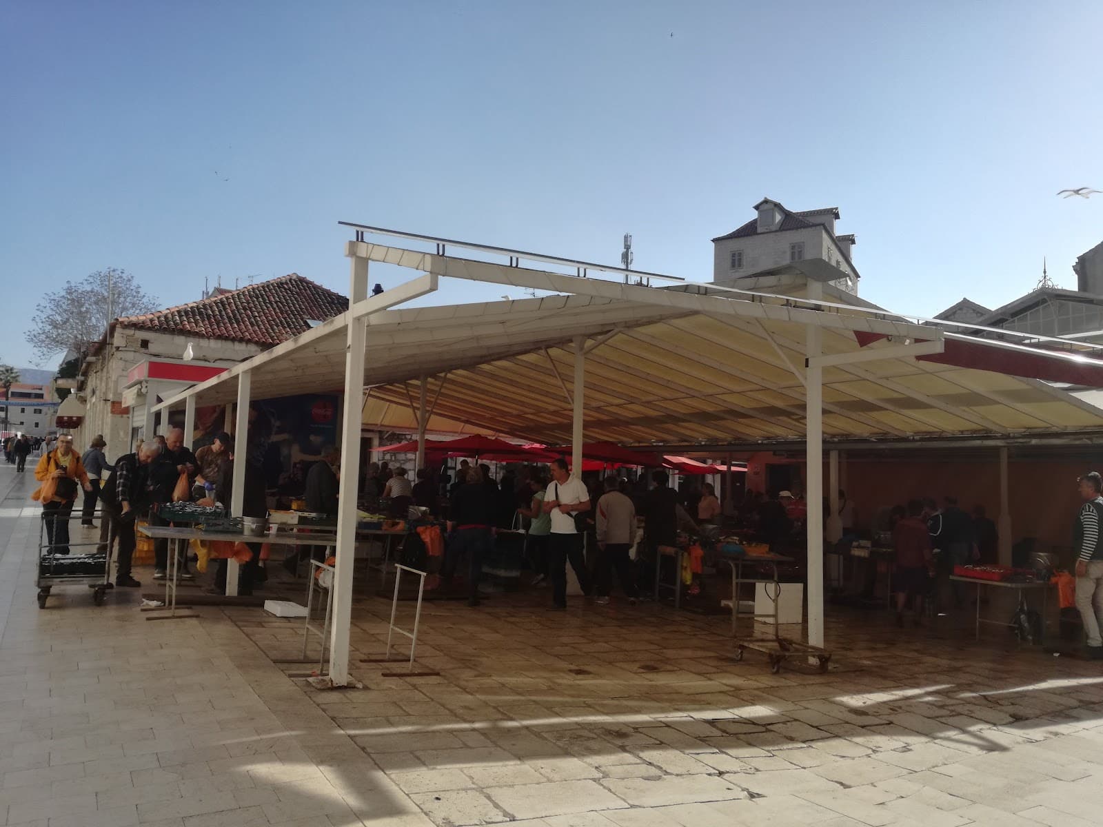 Fish Market Peskarija - Image 1