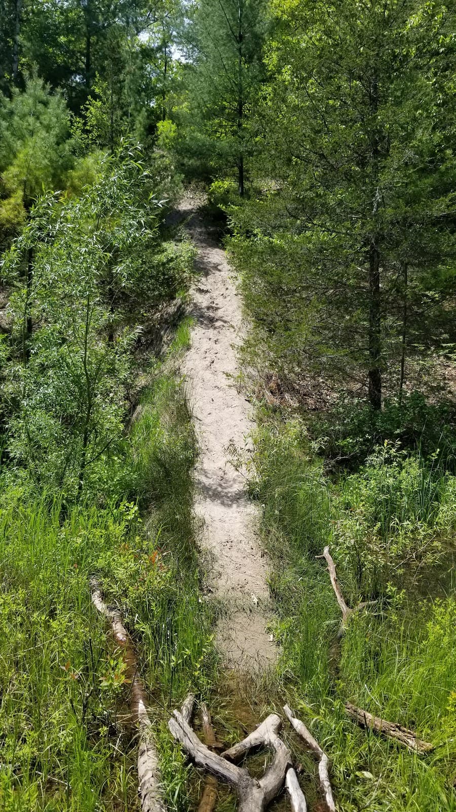 Ausable Cut Conservation Area - Image 1