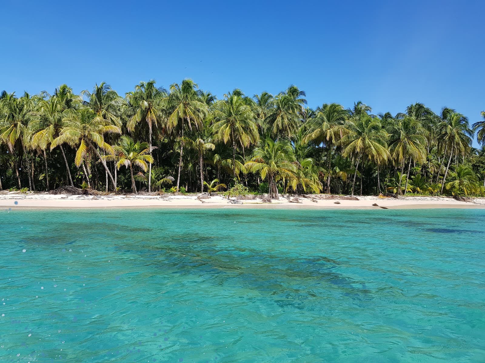 Cayos Zapatilla - Image 1