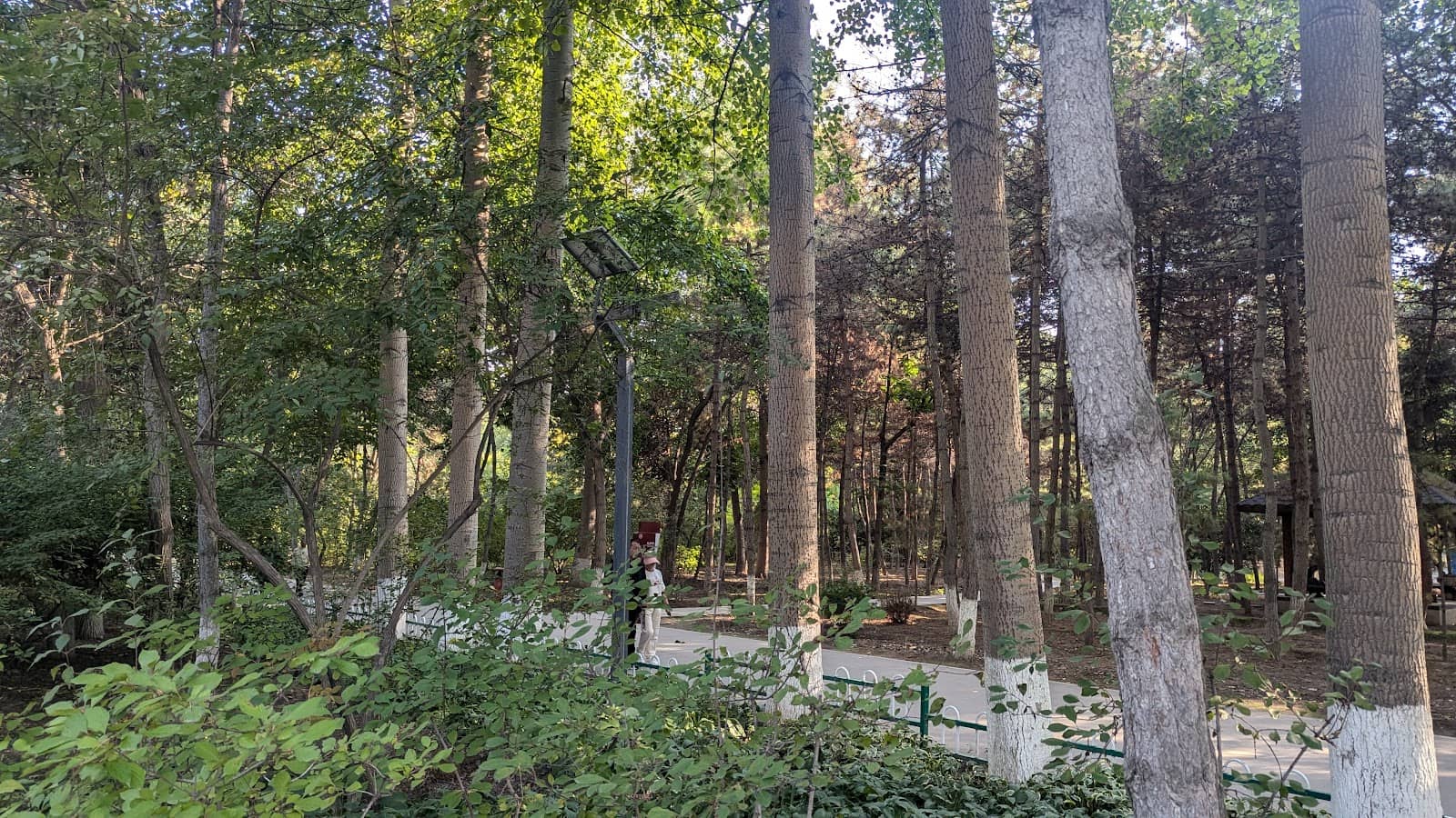 Diverse Plant Collections