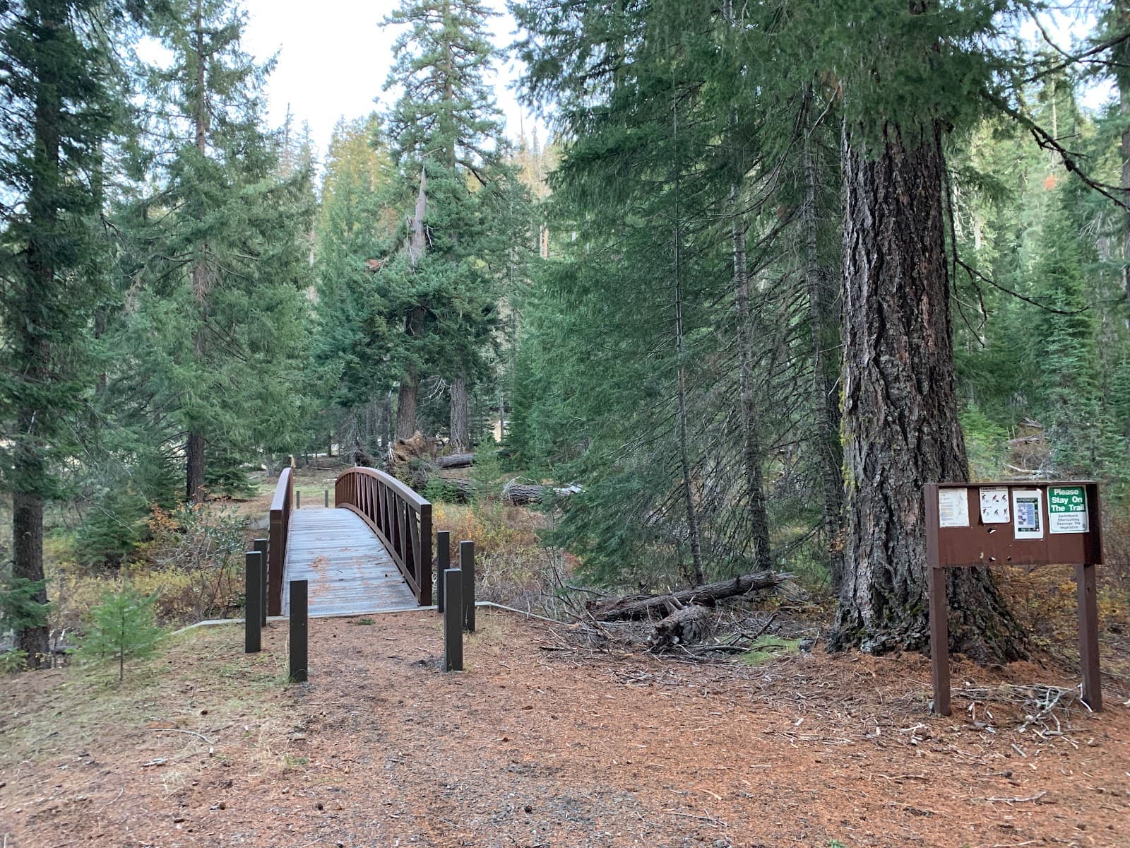 Upper Rogue River Trail - Image 1