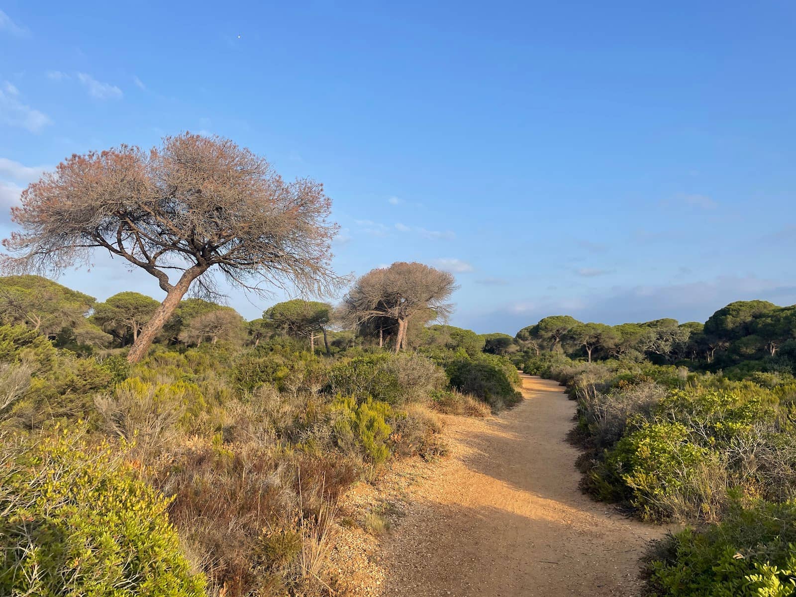 Picnic and Barbecue Areas