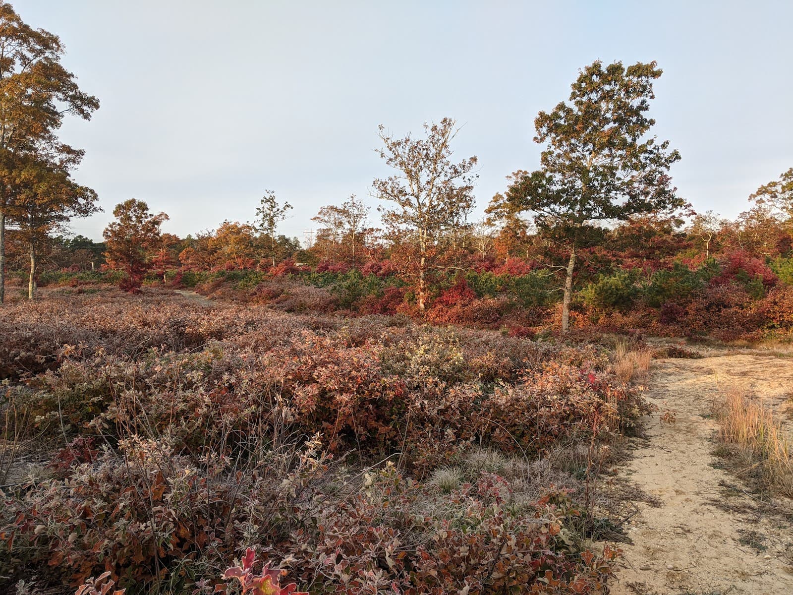 Mashpee National Wildlife Refuge - Image 1