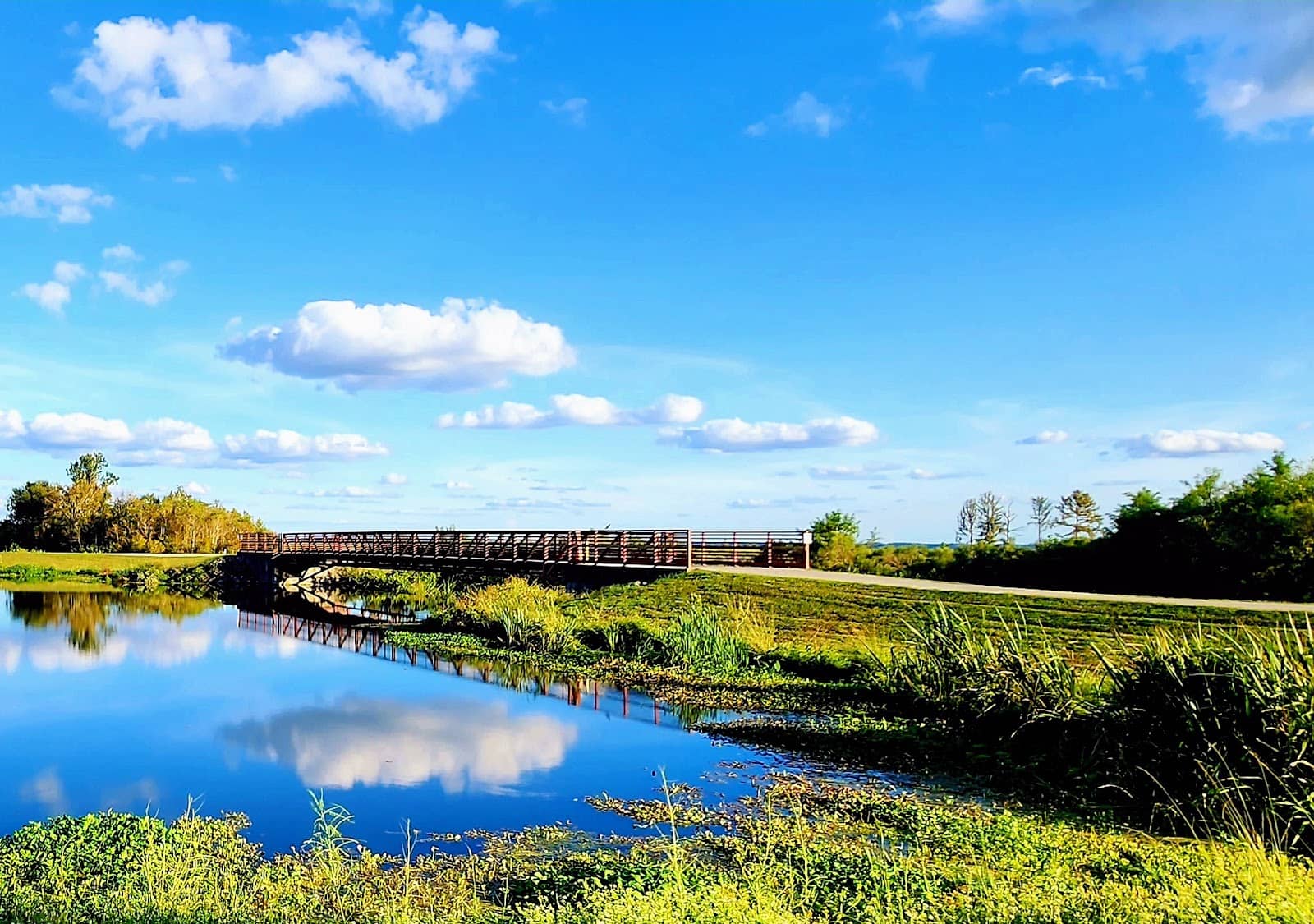 Scenic Boardwalk Trails