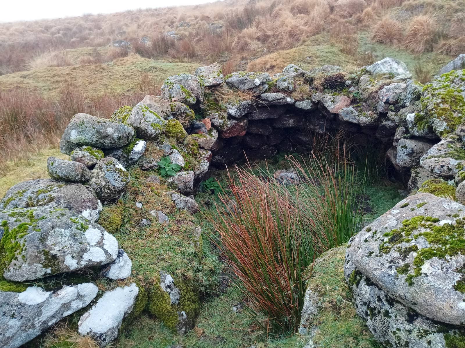 Dartmoor National Park