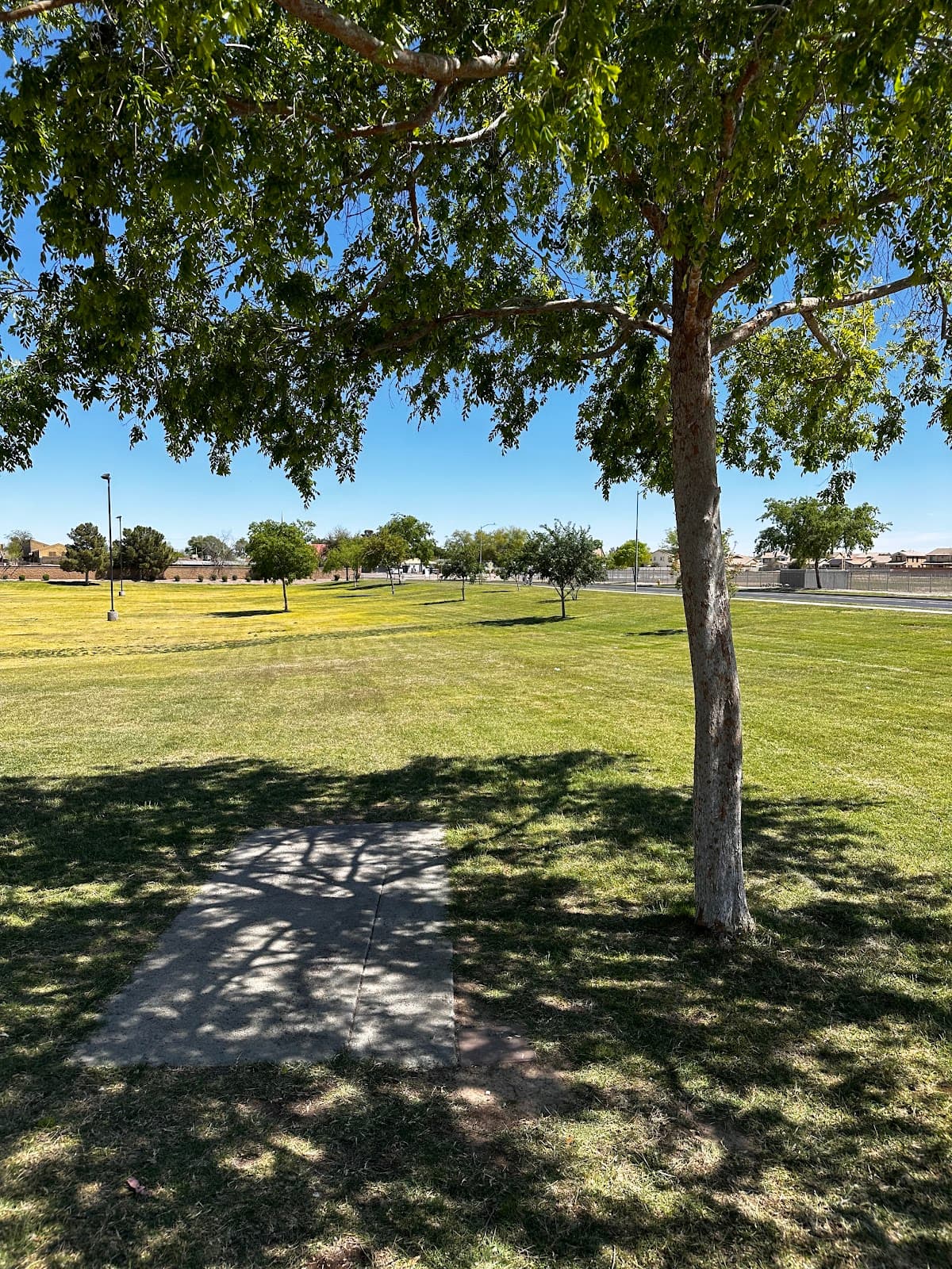 Maricopa Meadows Park - Image 1