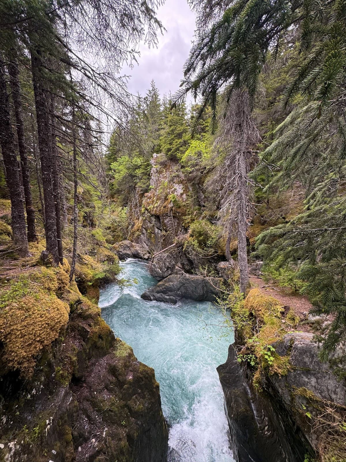 Winner Creek Gorge Trail - Image 1