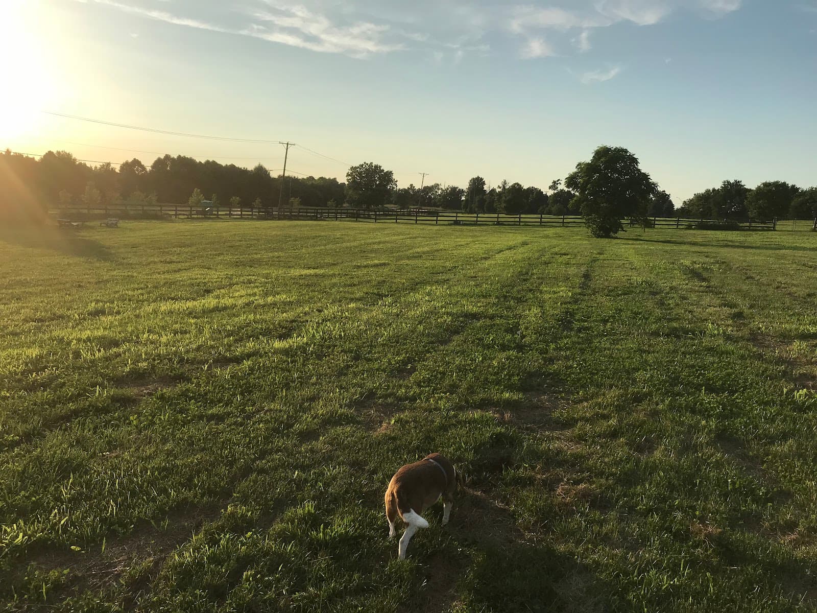 Coldstream Park - Image 1