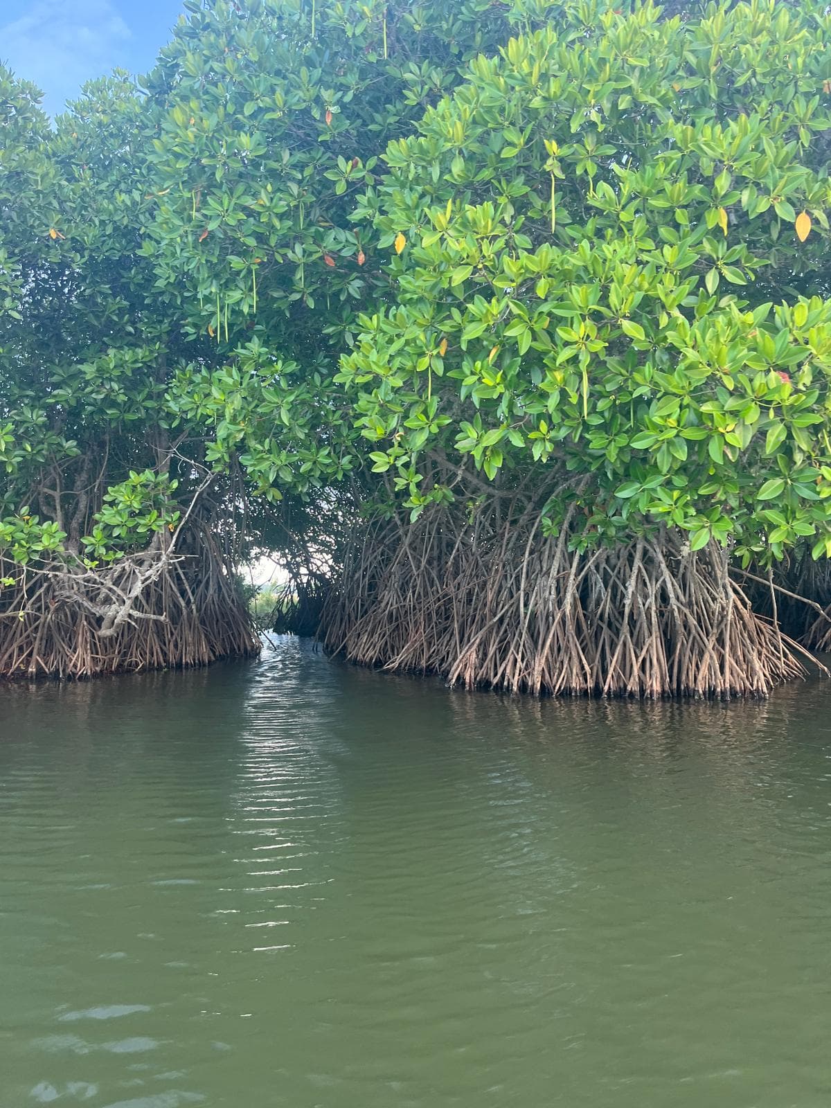 Pottuvil Lagoon Arugam Bay - Image 1