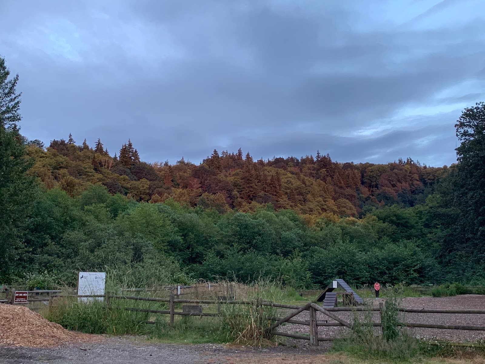 Japanese Gulch Off-Leash Dog Park - Image 1