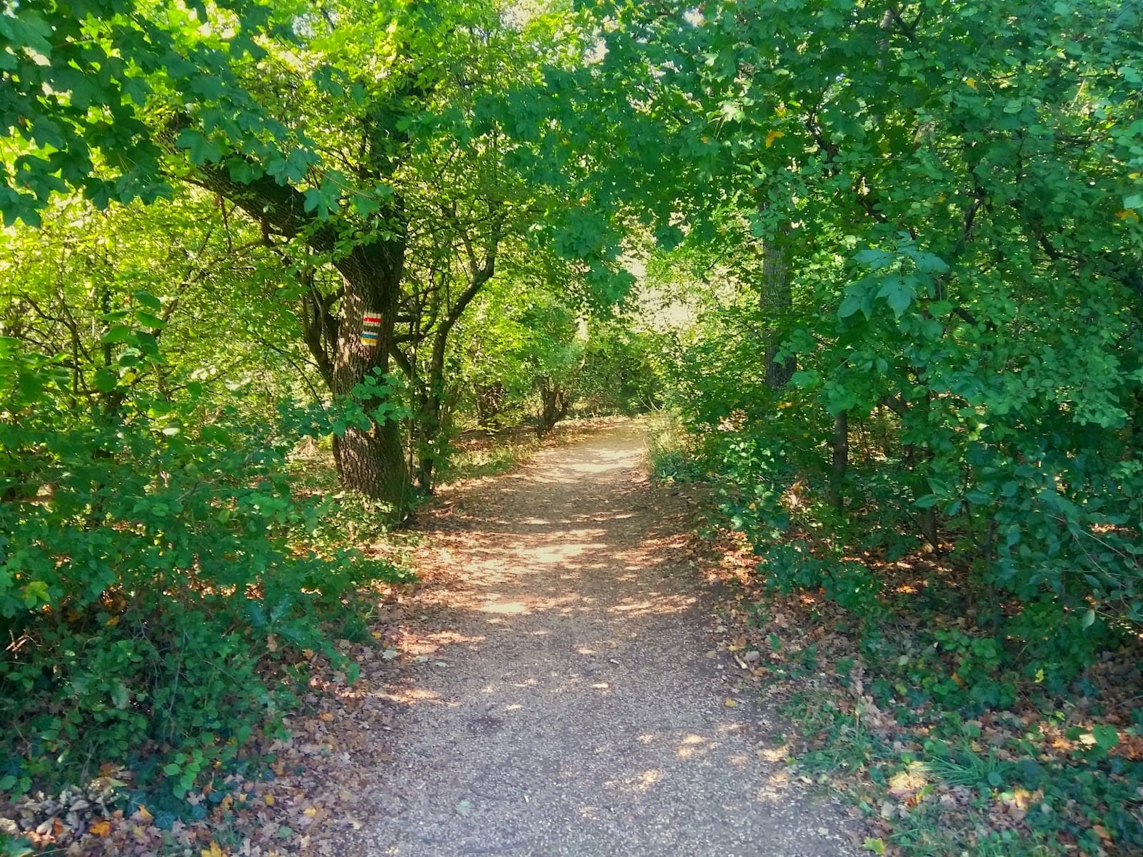 Mandulás Park - Image 1