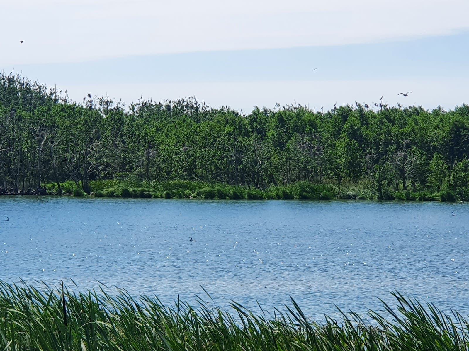 Plazė Lake - Image 1