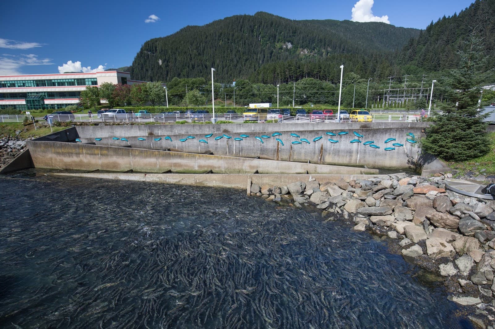 DIPAC Macaulay Salmon Hatchery - Image 1