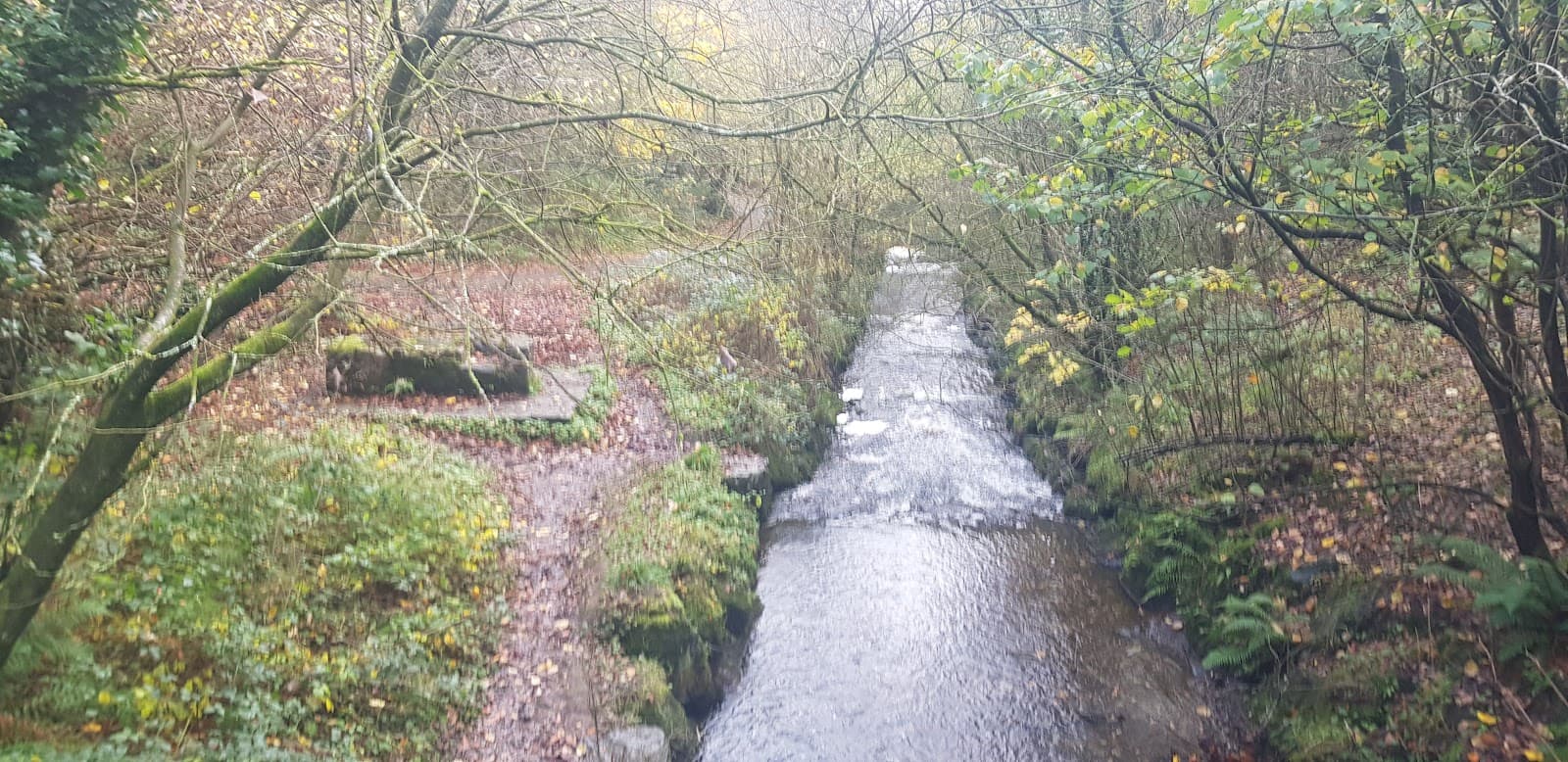Colin Glen Forest Park - Image 1