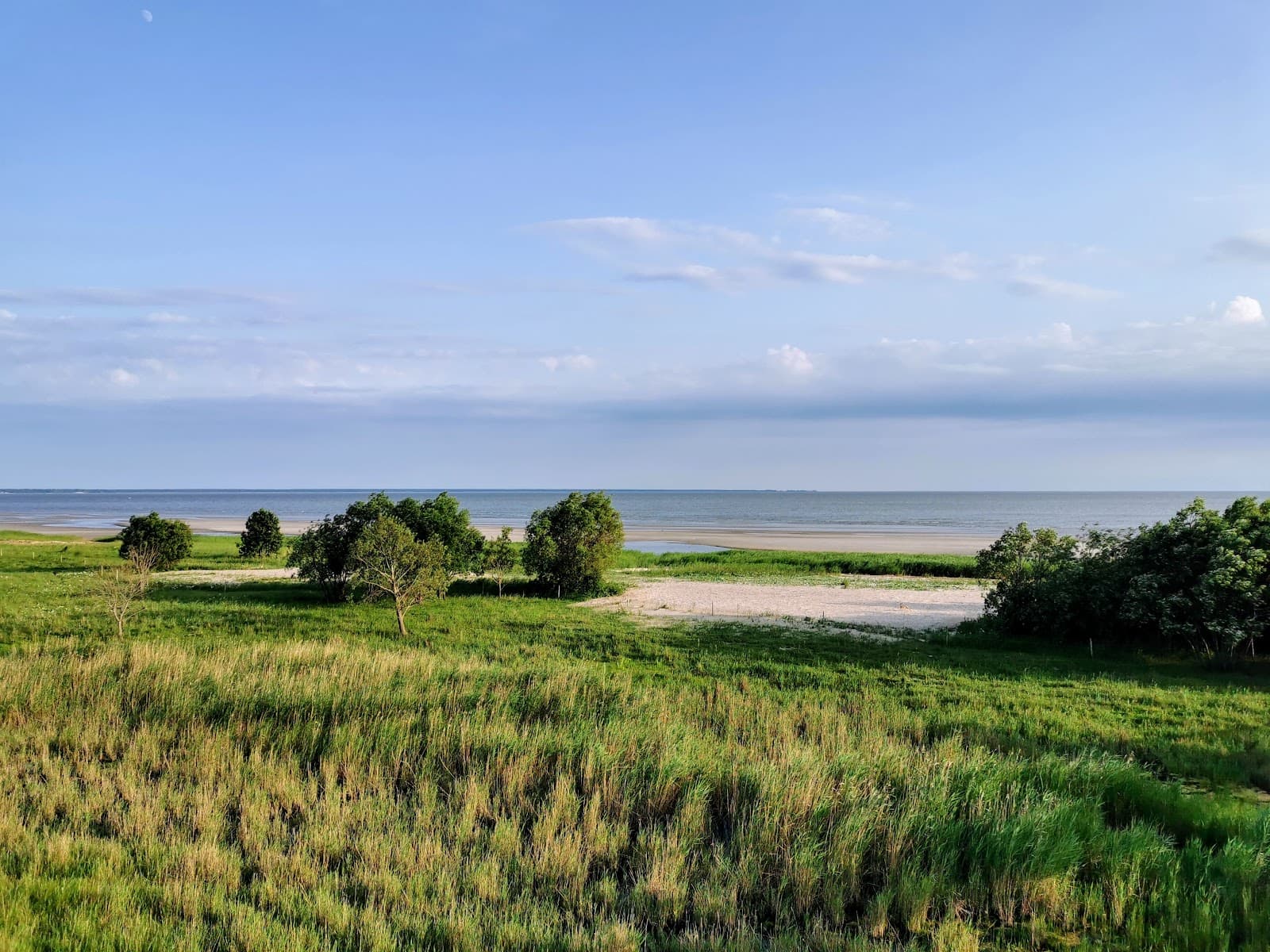 Pärnu Coastal Meadow - Image 1