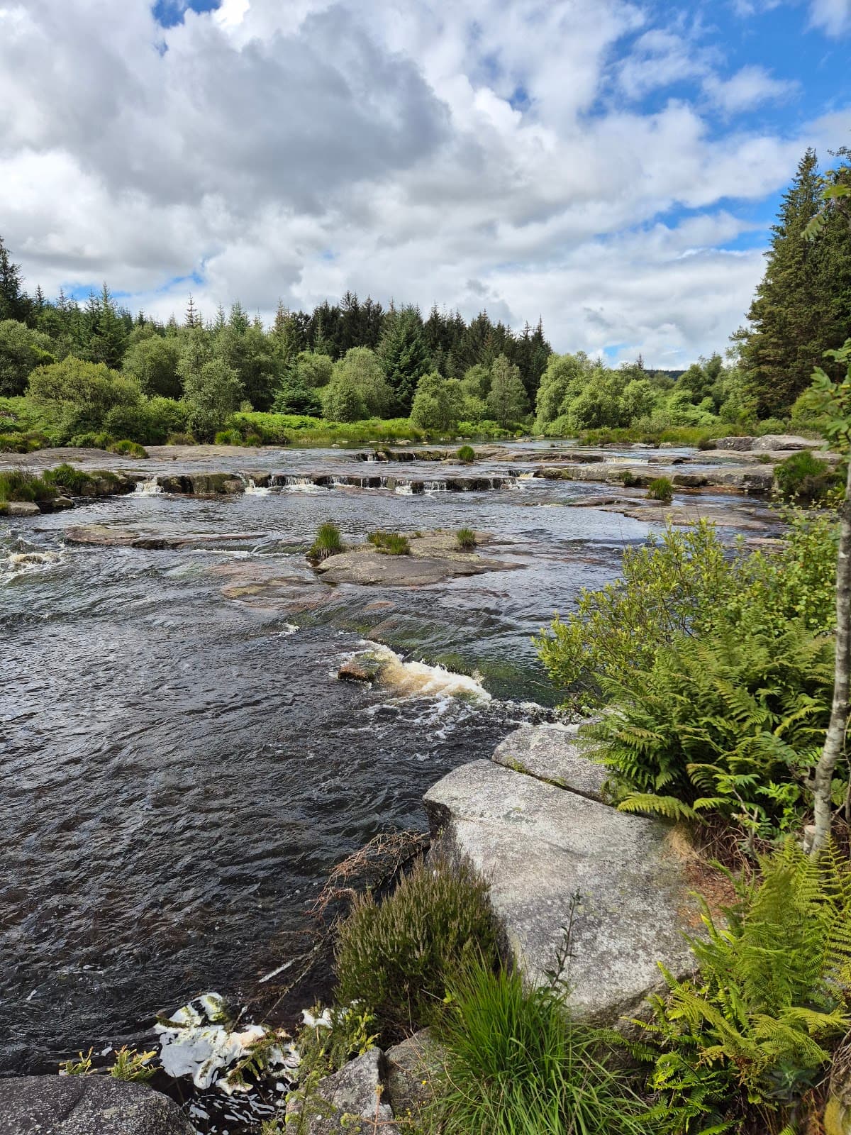Raiders Road Forest Drive - Image 1
