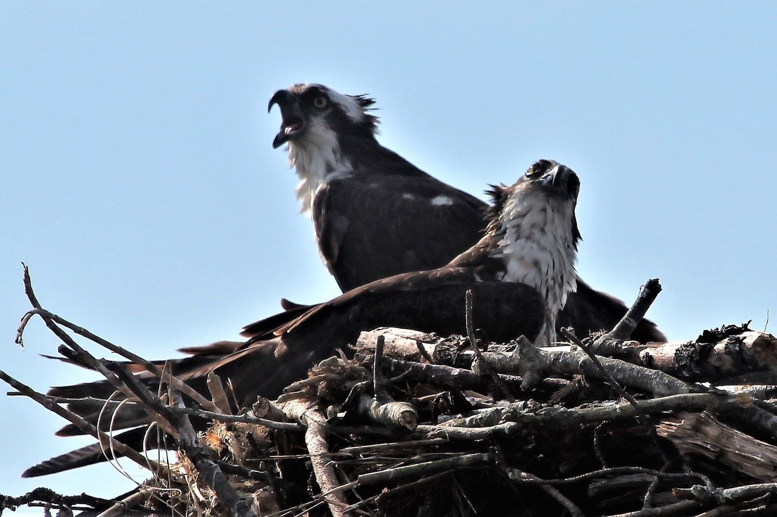 St. Peter's Episcopal Church and Cemetery - Image 1