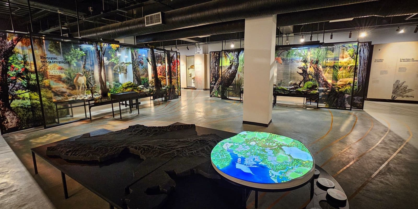 Museo de Ciencias Naturales F C Lehmann - Image 1