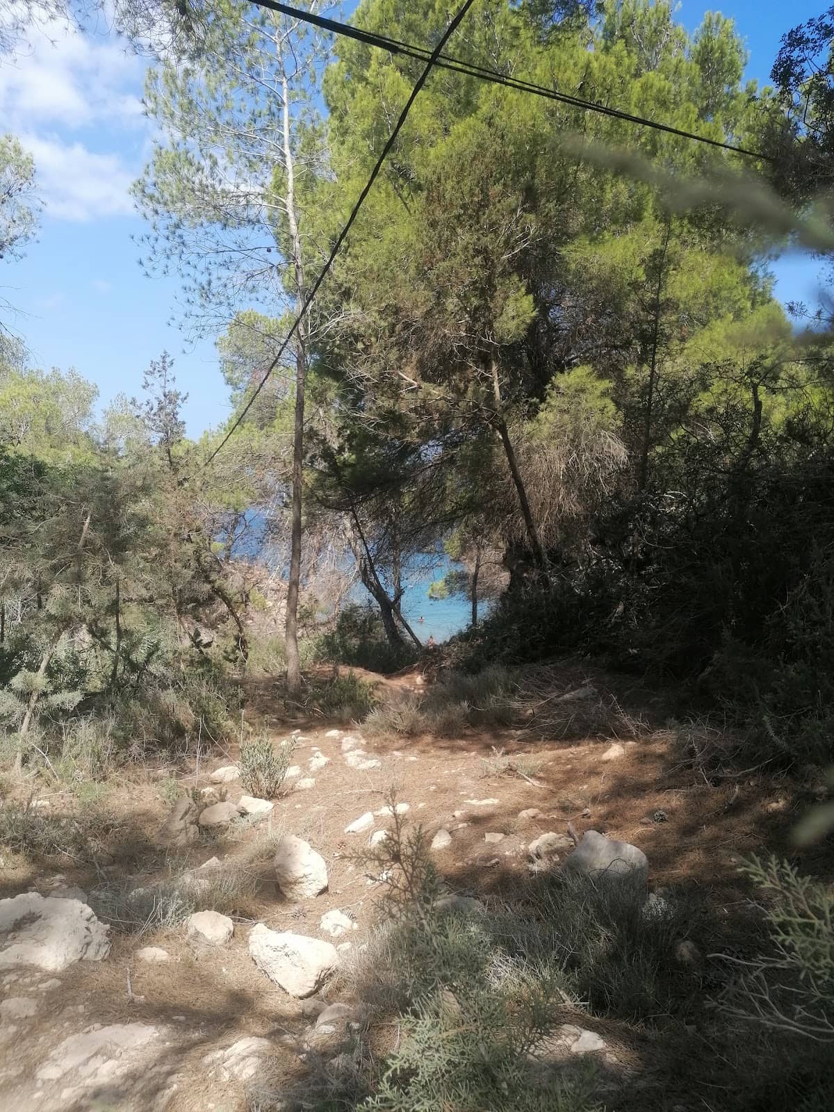 Vertical photo