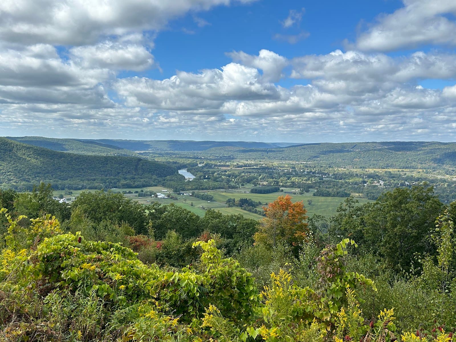 Harris Hill Scenic Overlook - Image 1
