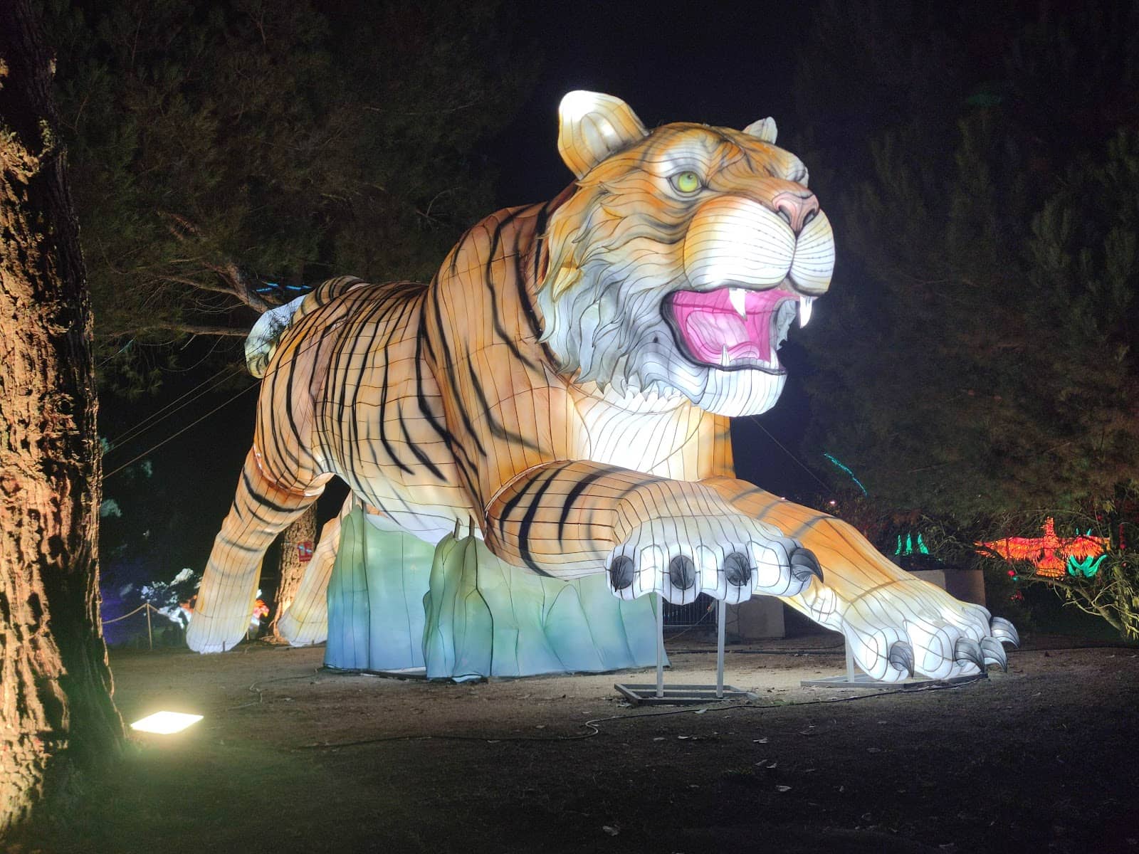 Magical Nighttime Stroll