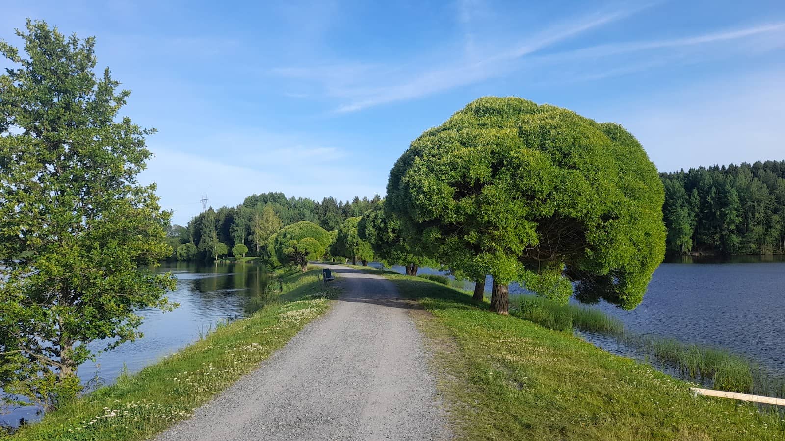 Bird Tower Experience