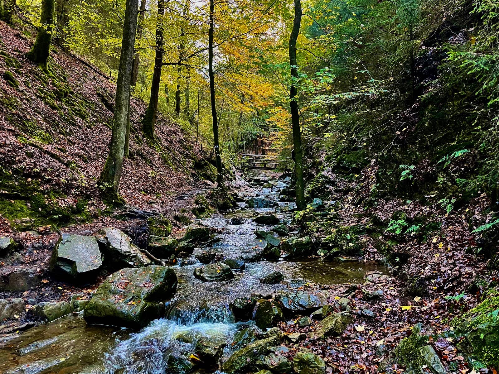 Wooden Bridges and Rocky Passages
