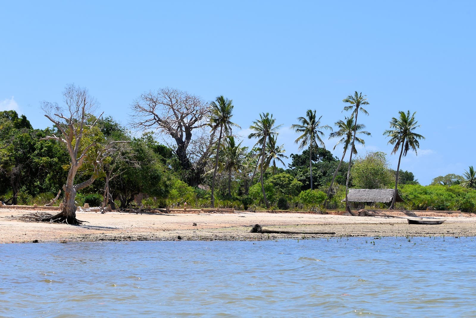 Funzi Island - Image 1
