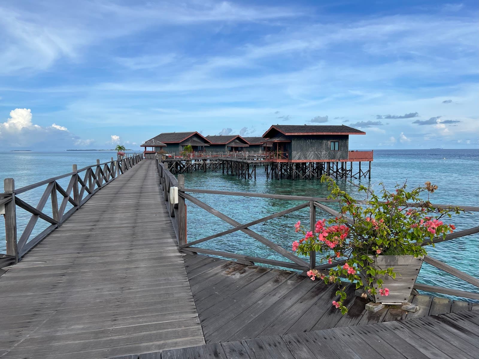 Pom Pom Island - Image 1