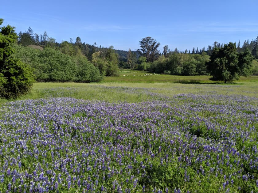 Quail Hollow Ranch County Park - Image 1