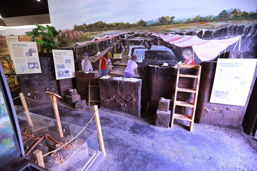 Brevard Museum of History & Natural Science - Image 1