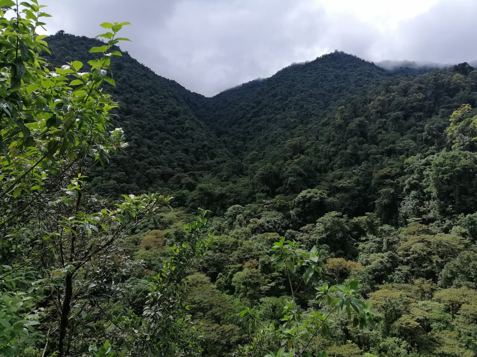 Tapantí National Park - Image 1