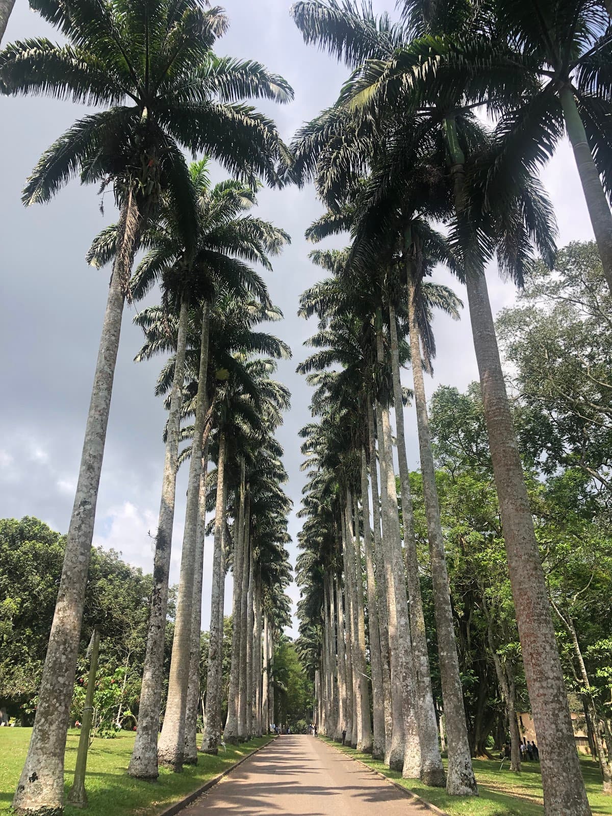 Aburi Botanical Gardens - Image 1