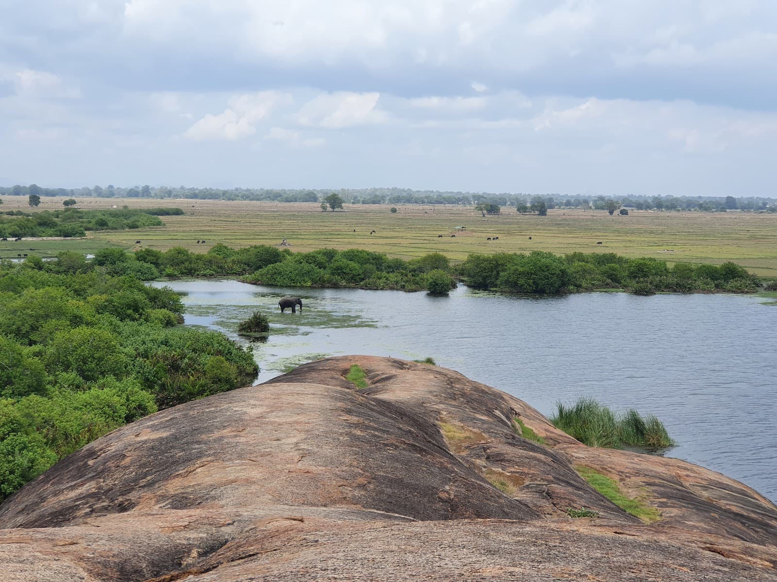 Crocodile Rock Arugam Bay - Image 1