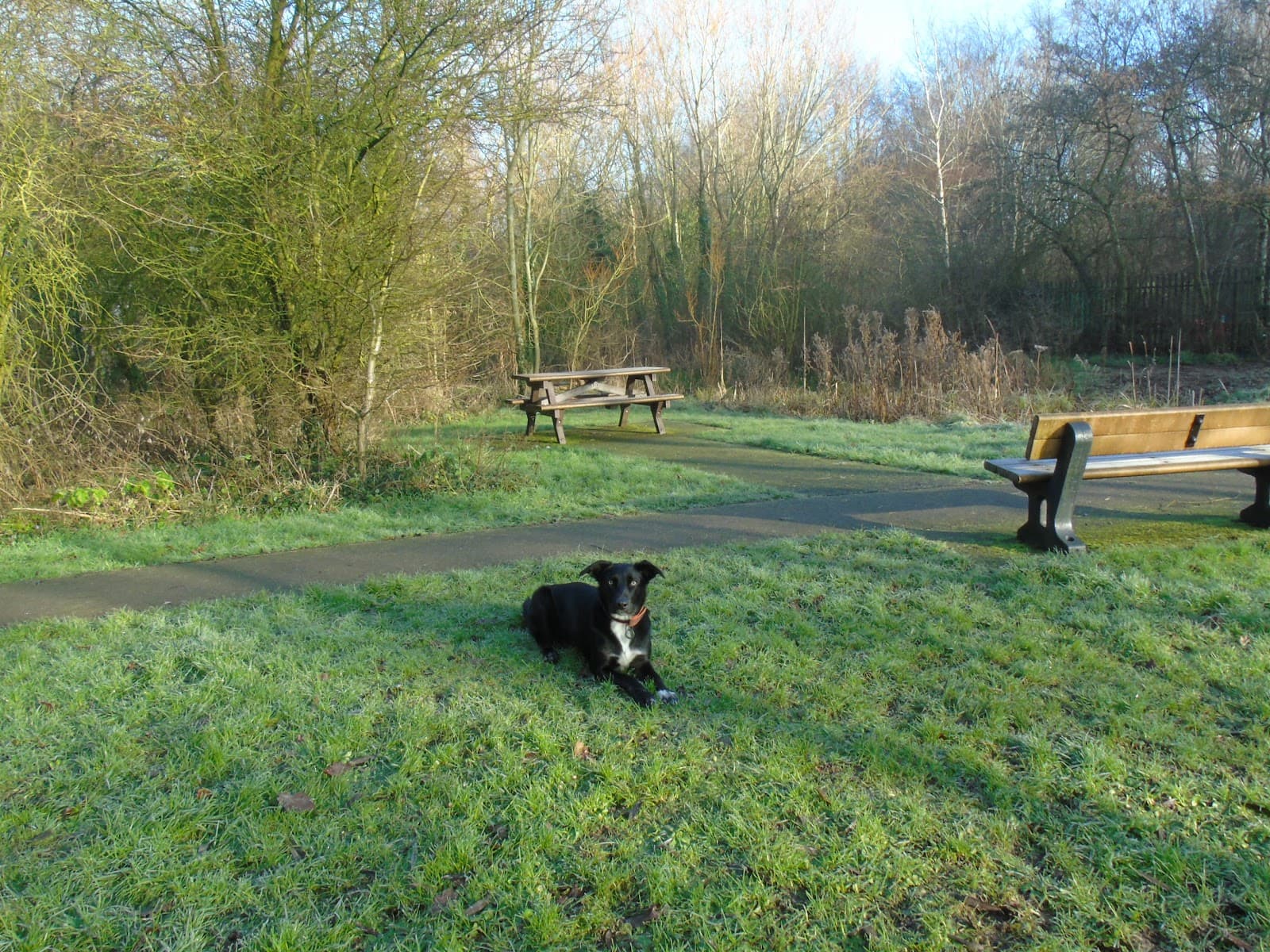 Rivacre Valley Nature Reserve - Image 1