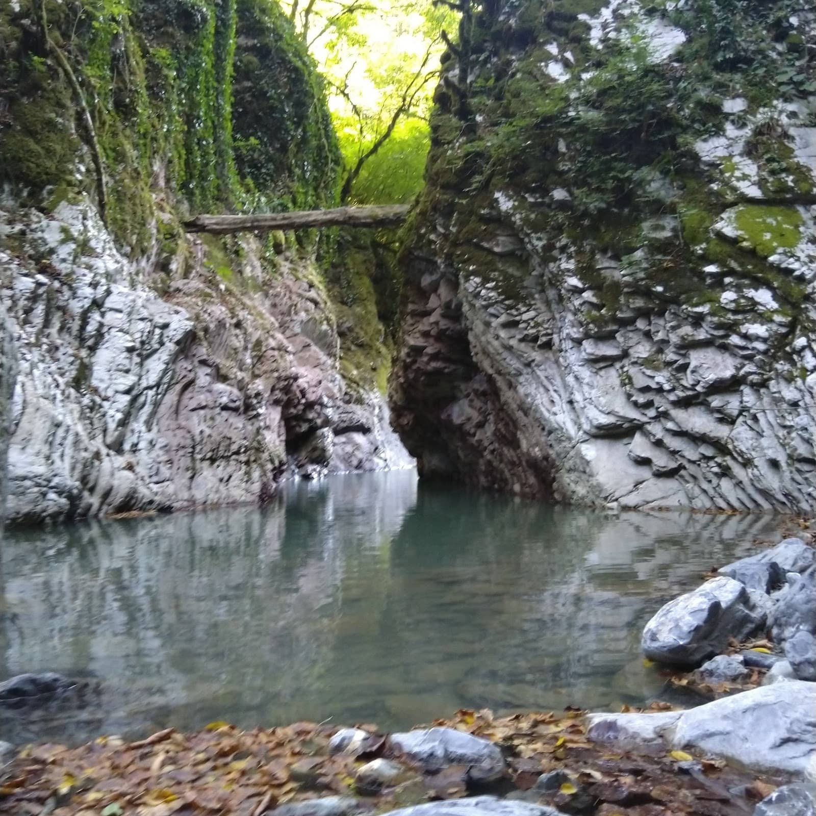 Vertical photo