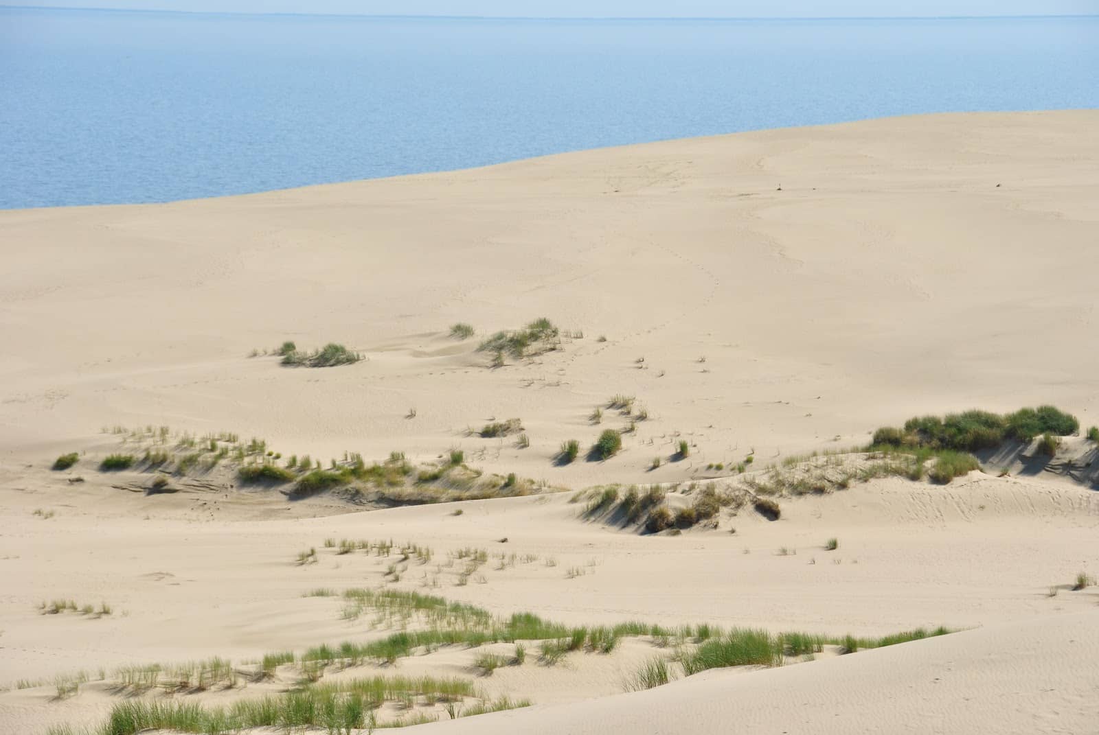 Panoramic Baltic Sea Views