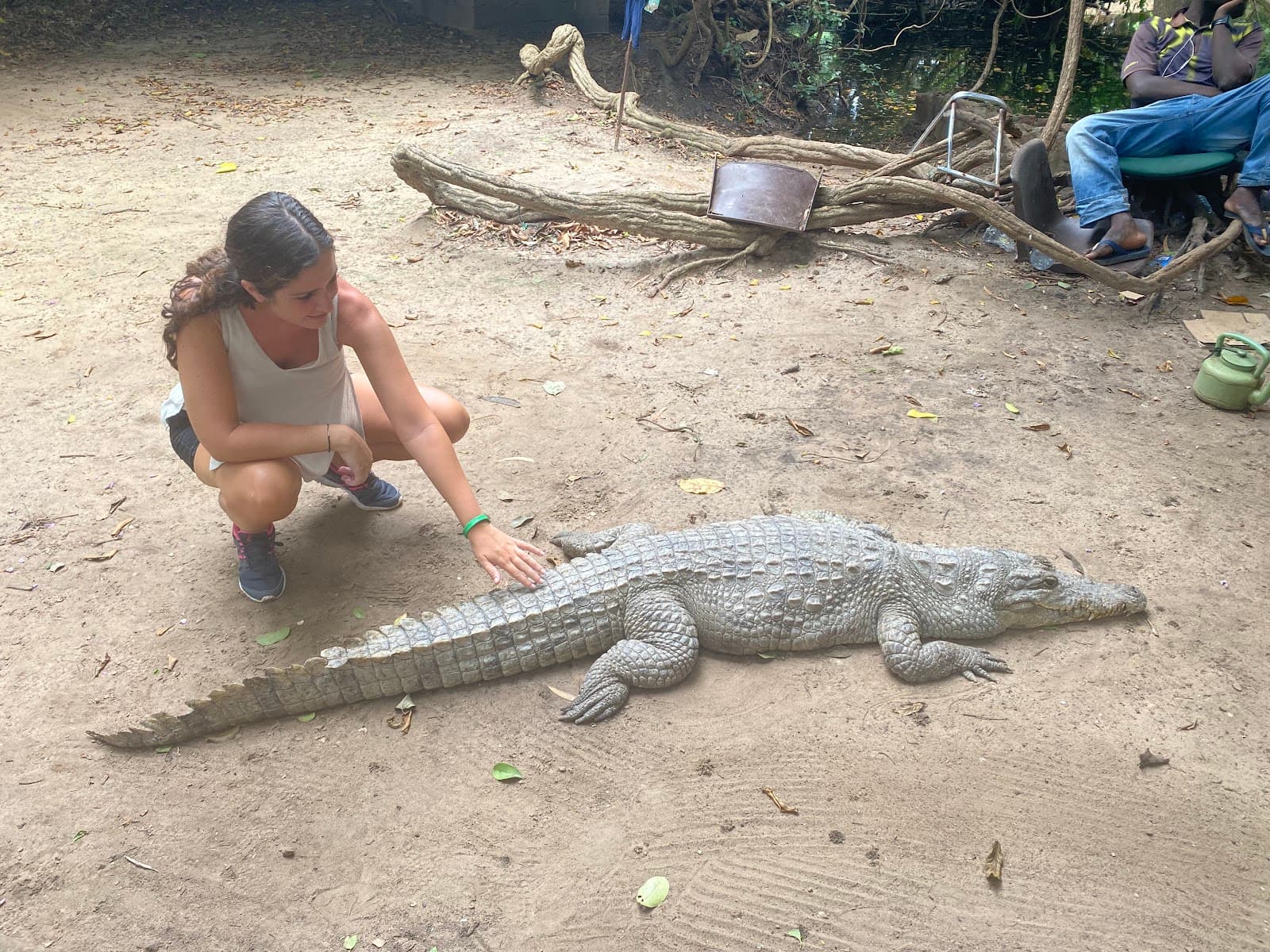 Kachikally Crocodile Pool (Bakau) - Image 1