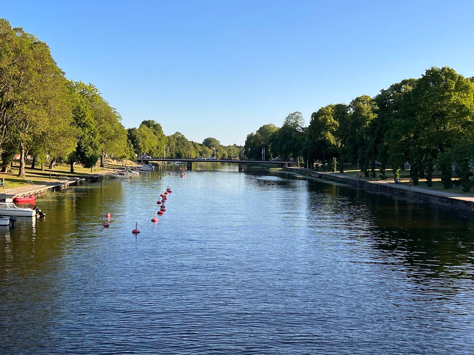 Crayfish and Whitefish