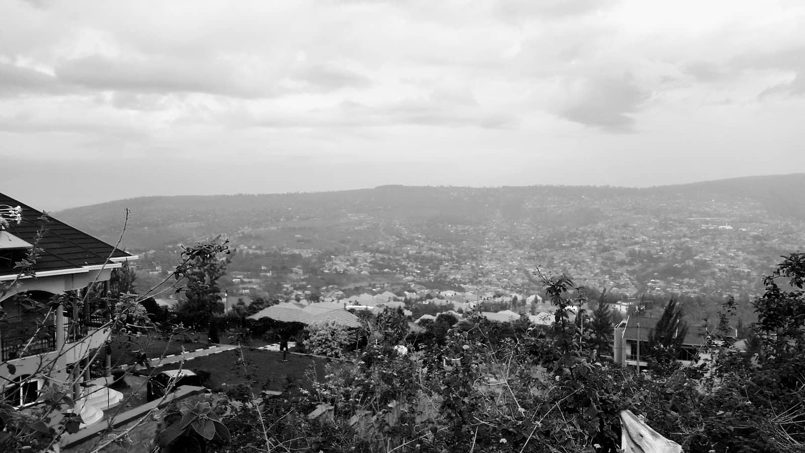 Architectural Insights