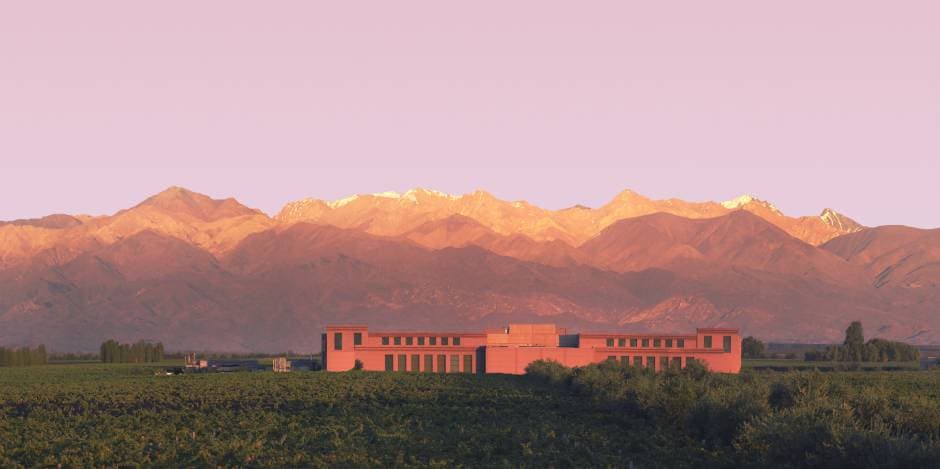 Rutini Wines - Image 1