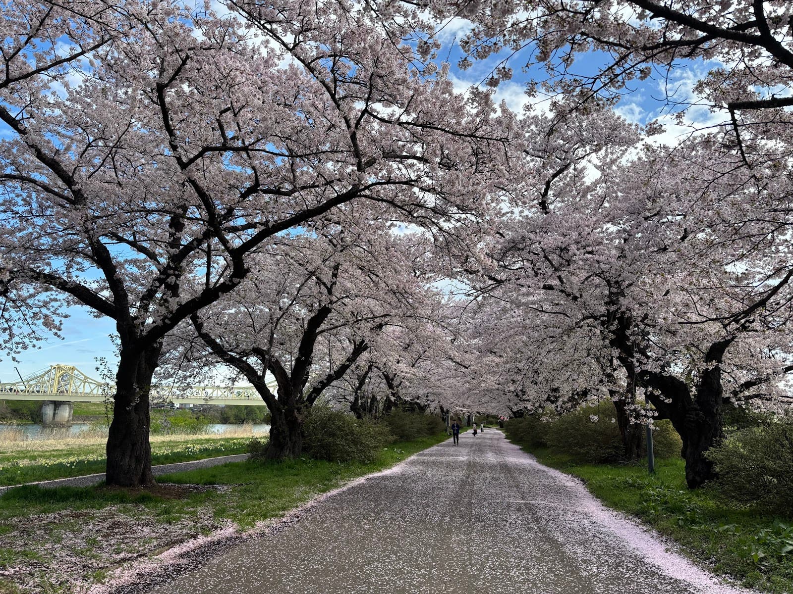 Kitakami River Waterfront - Image 1
